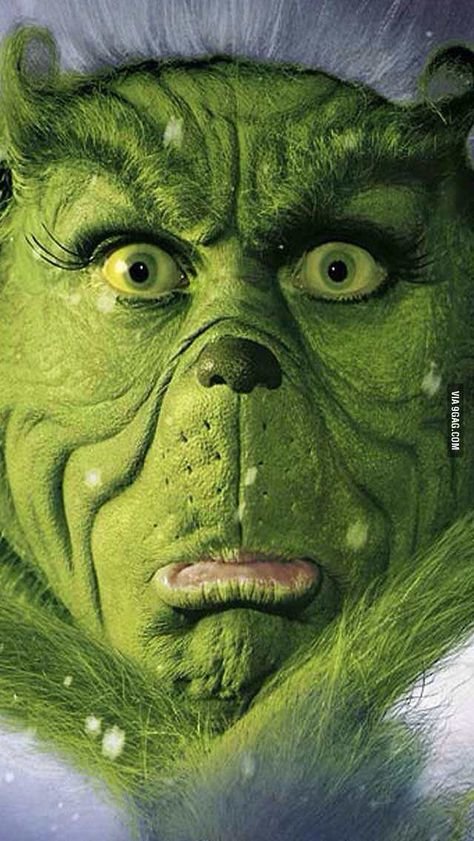 9b796fd32c089bae372b2863b5e1ea37--cell-phone-wallpapers-the-grinch.jpg