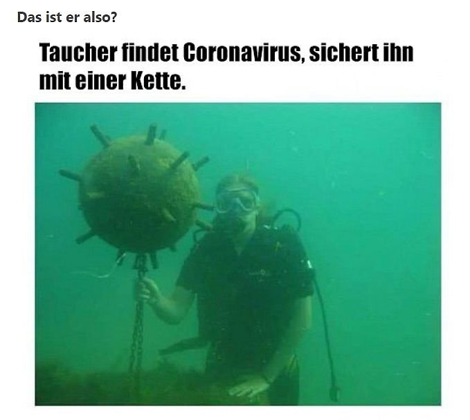 taucher.jpg