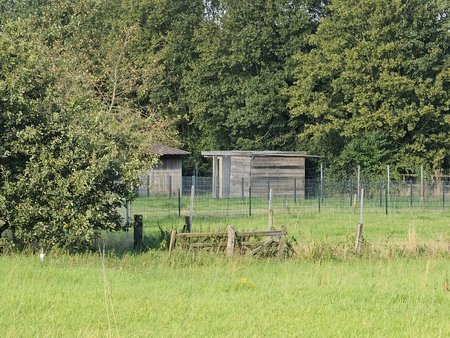 Gegen 19 Uhr x10.jpg