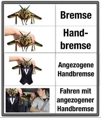 handbremse.jpg