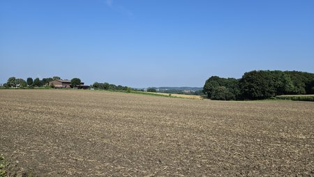 Landschaft 1x.jpg