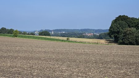 Landschaft 3x.jpg