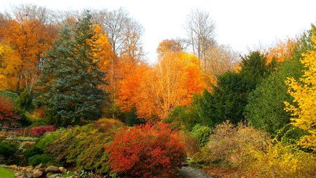 Botanischer_Garten_S3_06.jpg