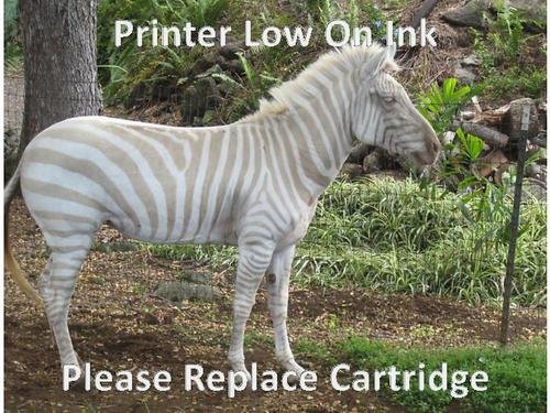 Printer-Low-On-Ink-Please-Replace-Cartridge-Funny-Zebra-Meme-Image.jpg