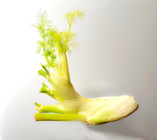 22.09.2023, Fenchel Foto, ©Wolfgang Kahle.jpg