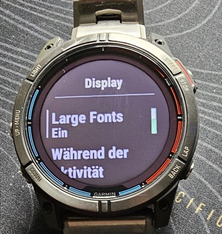 Large Fonts ein.jpg