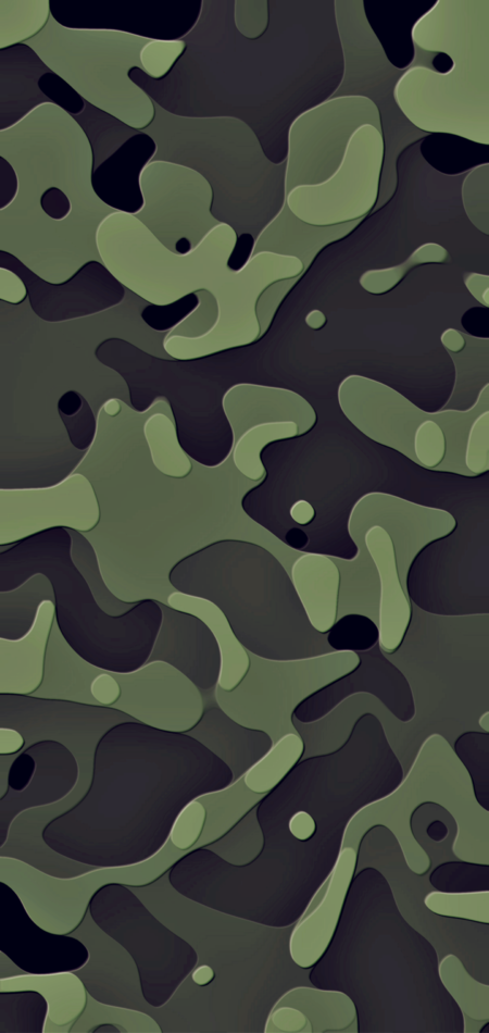 190223 camouflage.png