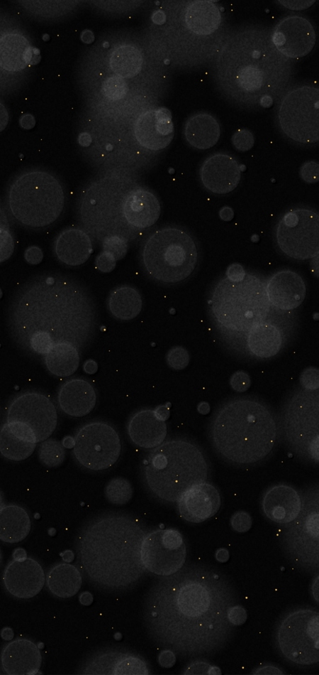 230223 bokeh and stars v2.png