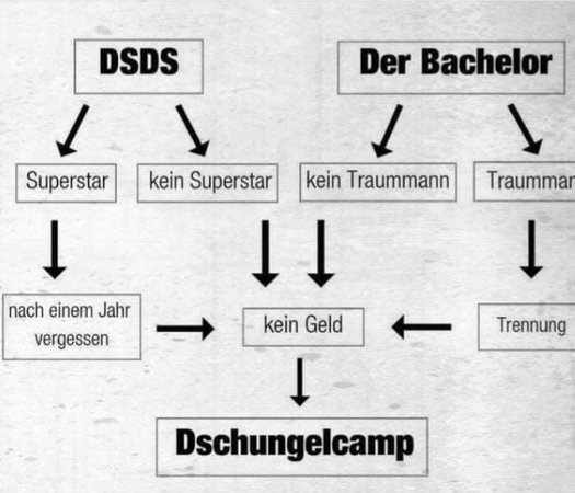 der-typische-weg-ins-dschungelcamp.jpeg