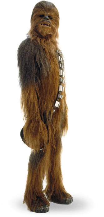 Chewbacca_detail.png