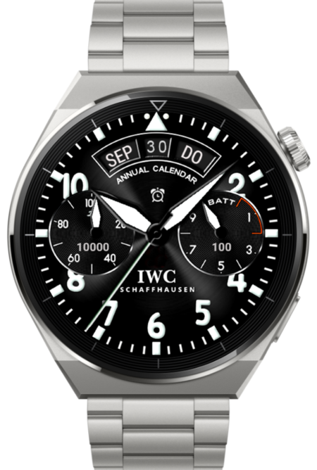 IWCPilot_snapshot.png