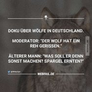 wolre.jpg