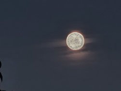 Mond1.jpg