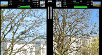 Nikon 24MP vs S23U 12 MP.png