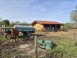 Bikerunde12.jpg