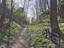 Bikerunde07.jpg