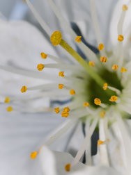IMG_20240606_211334_728.jpg