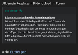 Bilder-Upload.jpg