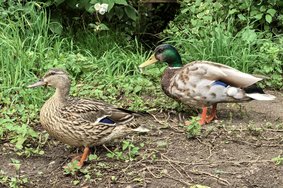 IMG_20240610_111757.jpg