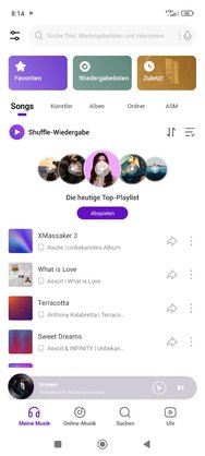 Musikplayer_mit Onlinedienste.jpg