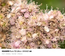 sukashi_20240620_134741.jpg