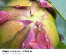 sukashi_20240711_232225.jpg