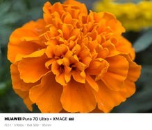 sukashi_20240712_194624.jpg