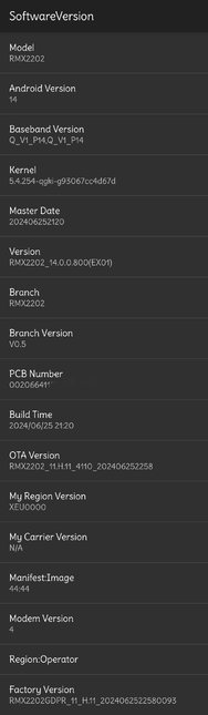 RMX2202_11_H.11 GDPR.jpg