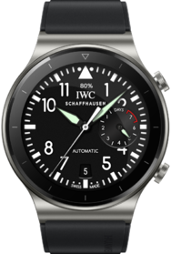 IWCBigPilot_snapshot.png