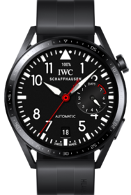 IWCBigPilot_snapshot.png