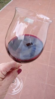 Tannat.jpg