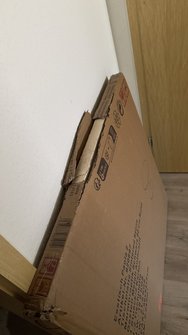 IMG_5374_Original.jpeg