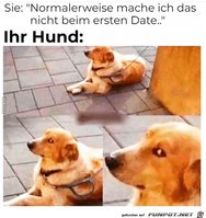 Der_Hund_hat_andere_Infos.jpg