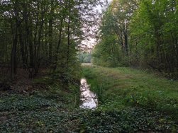 IMG_20240918_181018.jpg