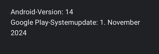 Screenshot_20241210_001211_Google Play Store.jpg