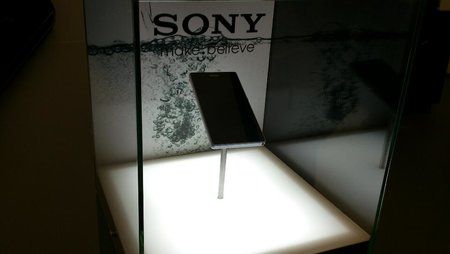 rps20130121_200429.jpg