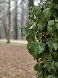 IMG20250122091120.jpg
