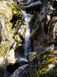 IMG_20250319_093422_1-Lightroom_KI.jpg
