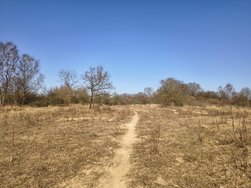 IMG_1 13MP.jpg