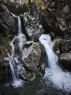 IMG_20250403_091841.jpg