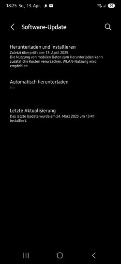Screenshot_20250413_182534_Settings.jpg