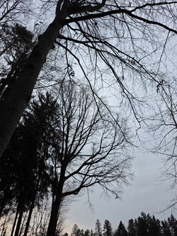 20250207_093505.jpg