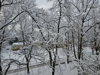 20250214_085201.jpg