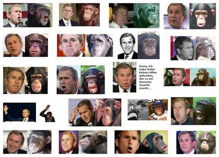 george-w-bush-affe.jpg