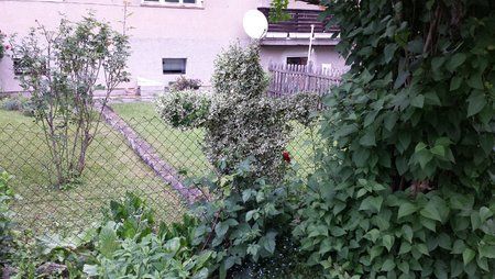 20130521_182540.jpg