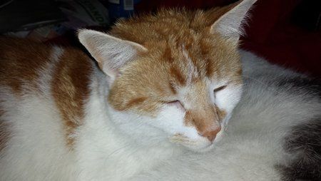 20130524_132256.jpg