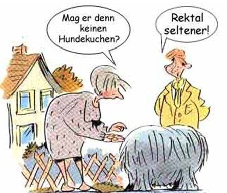 hundekuchen.jpeg