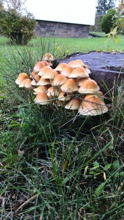 IMG_20131011_181035.jpg