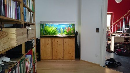 DSC_0008.jpg