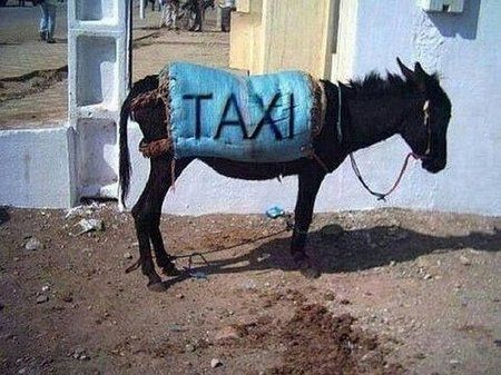 Taxi.jpg